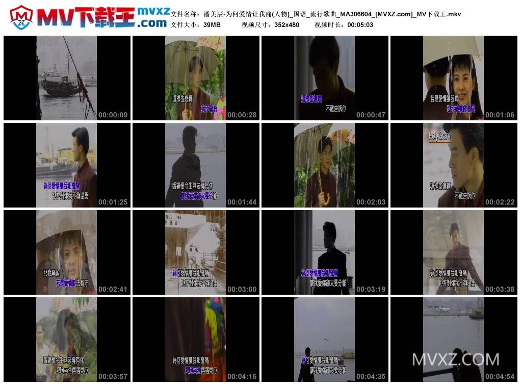 潘美辰-为何爱情让我痛(人物)_国语_流行歌曲_MA306604